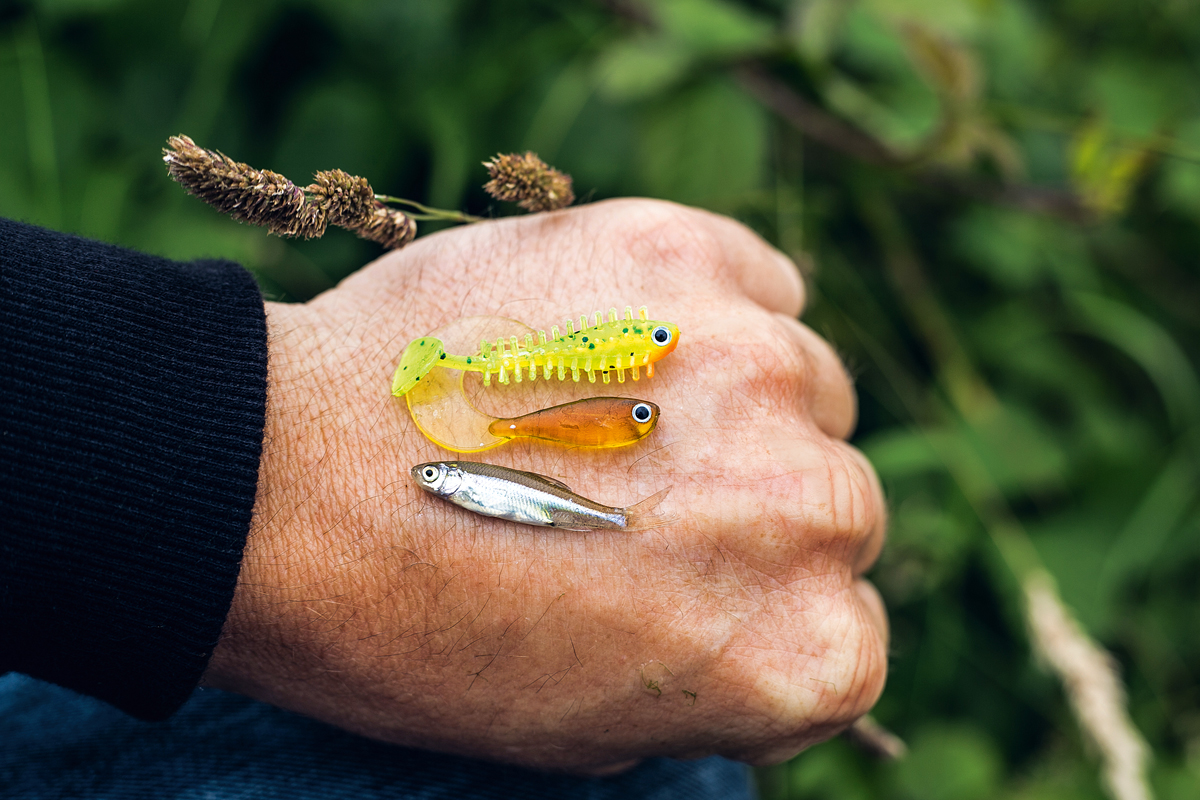 In der Brutfischzeit angelt der Autor gerne mit Mini-Ködern. Foto: BLINKER/ Roy Vanstreels